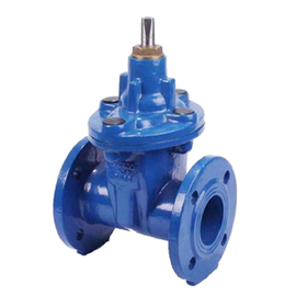 Задвижка ZIGGIOTTO RF32 F-2 L-250 Ду 100 PN 10, фото 