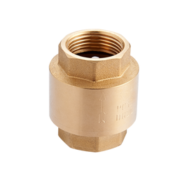 Обратный клапан с пластиковым сердечником 1 1/4" PN 10  CV.215.07, фото 