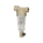 Фильтр сетчатый Honeywell-Braukmann FF06-3/4AA BRU, фото 