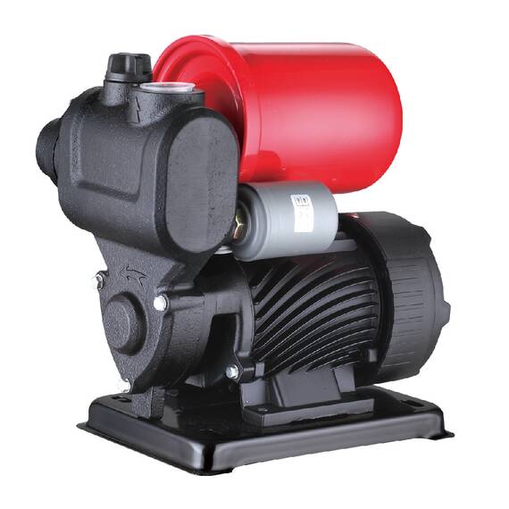 Станция насосная PUMPMAN TGP125, фото 