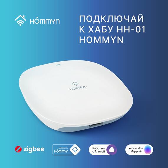 Сенсор температуры и влажности HOMMYN TS-20-Z, фото , изображение 6