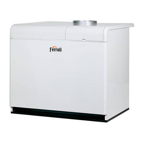 Котел газовый Ferroli PEGASUS F3 N 289 2S с чугунным теплообмен., напольный, 1 конт., откр.кам.сгор., фото 