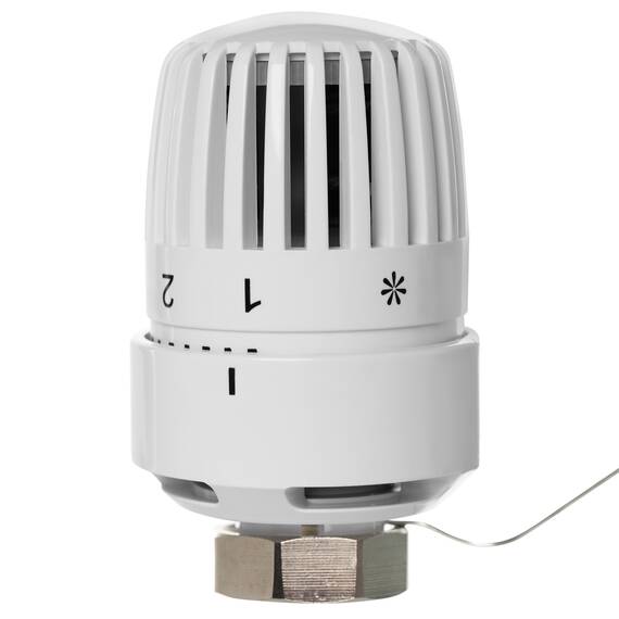 Термоголовка жидкостная Royal Thermo BASIC с выносным датчиком М30х1,5, фото , изображение 2