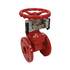 Задвижка аналог МЗВ чуг Ду65 Ру10/16 к/выкл пож Benarmo, фото 