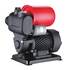 Станция насосная PUMPMAN TGP125, фото 